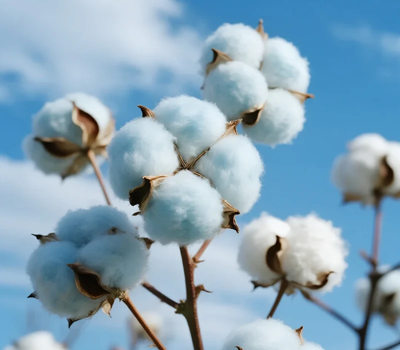 environmental protection and sustainability eco friendly materials