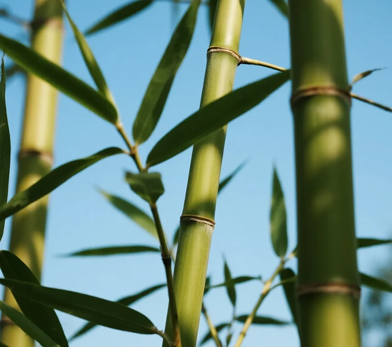 environmental protection and sustainability green manufacturing